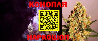 гидра Старая Купавна